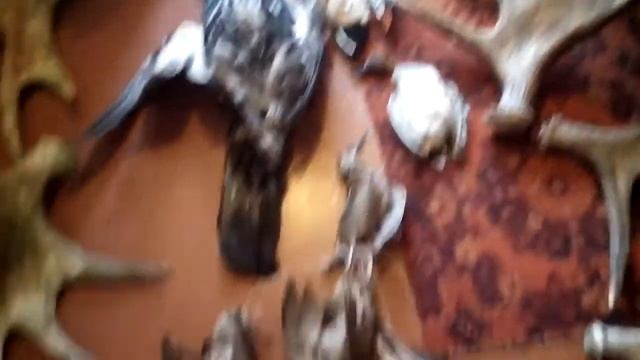 Глухарь. Селезень. Трофеи. Финал весенней охоты. смотреть онлайн