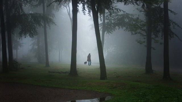 Vobla - Morning Chill смотреть онлайн