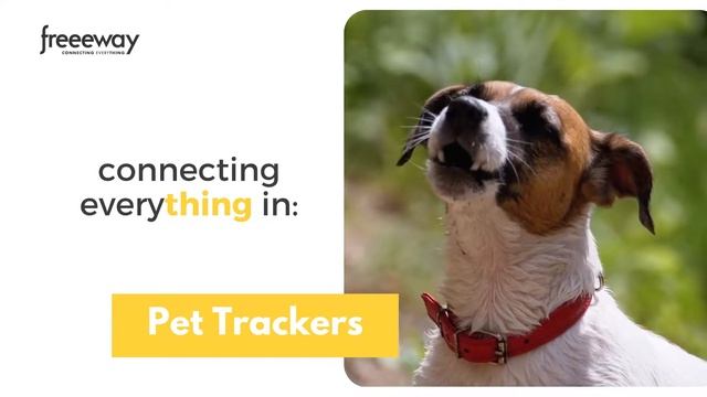 IoT use cases | Freeeway & simHERO смотреть онлайн