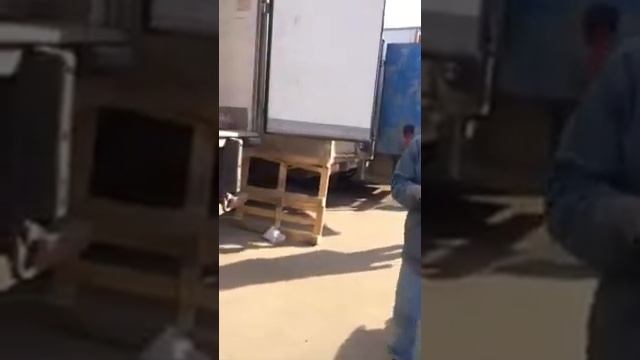 Обезьяна смотреть онлайн