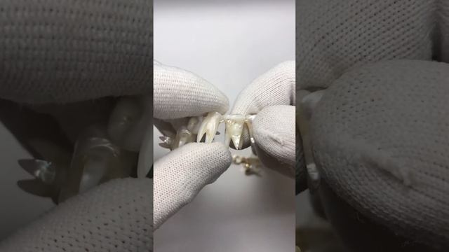 AJW2020: Individual Artists / Into Niilo смотреть онлайн