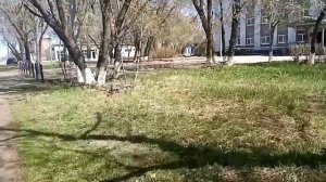 Прогулка по городу Тайшет 🤗🤗🤗