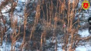 Российские силы полностью зачистили н.п. Белогоровка.