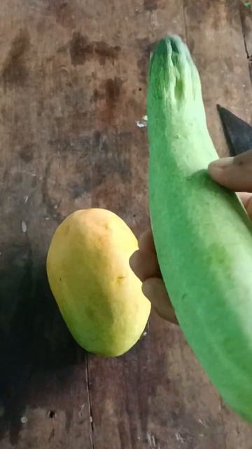 cucumber and mango смотреть онлайн