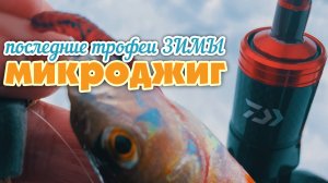 ЗИМЕ КОНЕЦ! Рыбалка с Друзьями: ЭКСПЕРИМЕНТЫ, ПОКЛЁВКИ и БОРЬБА ЗА ТРОФЕИ! 🎣 #рыбалка #микроджиг