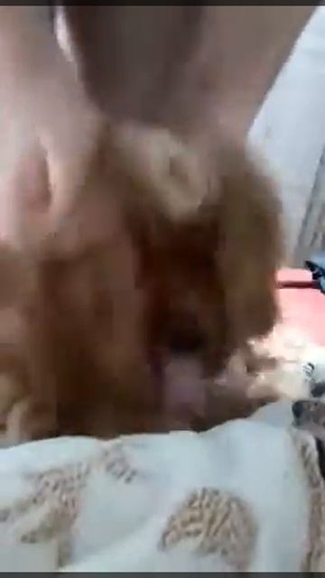 Масаж ушей с утра был лишним))) смотреть онлайн