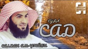 Сура 38 Салман Аль-Утайби