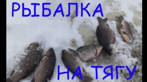 Рыбалка на карася методом тяги 2025
