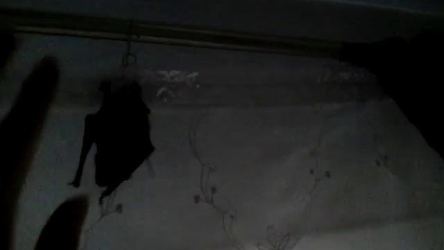 Наша маленькая летучая мышка Лялечка смотреть онлайн