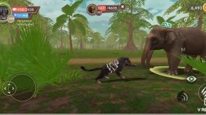 Прокачка ТИГРА до 200 уровня в вайлд крафт