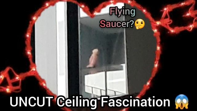 I SPY with my EYE 👀 - Human CCTV🔭 смотреть онлайн