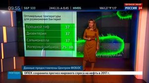 Екатерина Григорова 14 06 2017 9-50