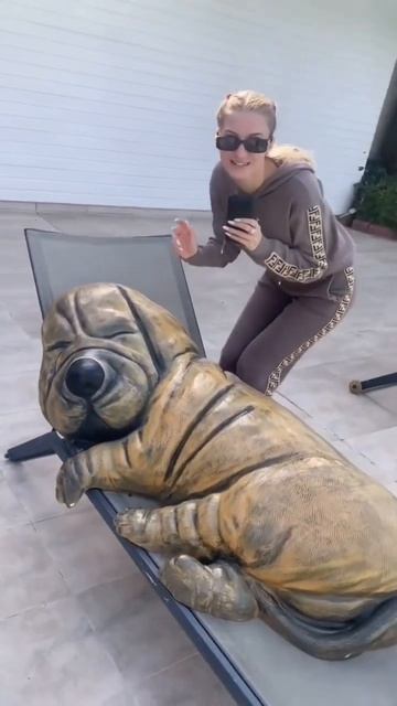 Самая большая собака