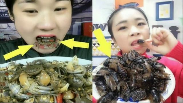 Bubonic plague |China new disease |telugu