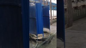 Санаторий Янтарь МО