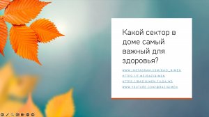 Какой сектор в доме самый важный для здоровья?