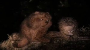 Ёжик и Медведь.О вечном и бесконечном