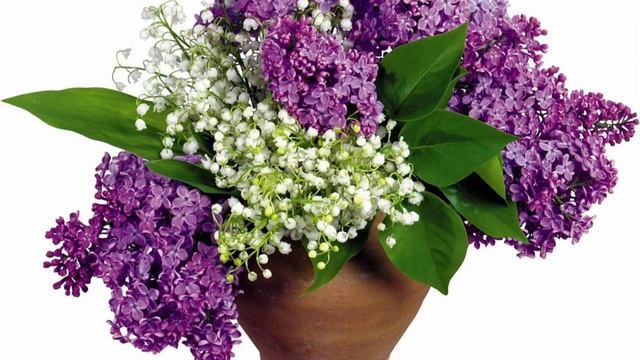 Время цветения сирени. Сиреневый рай. Музыка для души смотреть онлайн