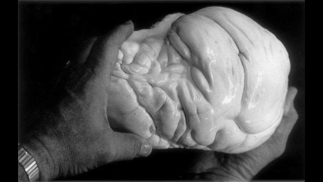 Молодой рыбак поплатился жизнью за самую большую жемчужину в мире! смотреть онлайн