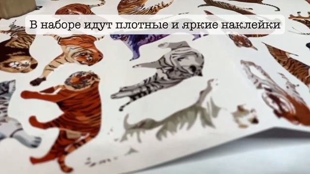 Тигры 22 видео смотреть онлайн