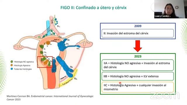 AVANCES EN LA ESTADIFICACIÓN DEL CÁNCER DE ENDOMETRIO смотреть онлайн