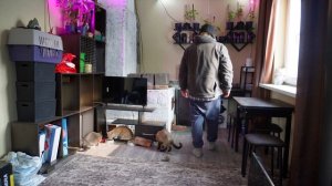 Добрый ролик про простую жизнь