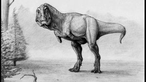 the sound effects of edmarka, megalosaurus, tarascosaurus, yangchuanosaurus.wmv