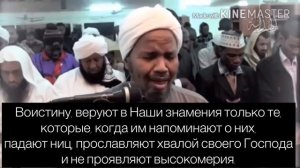 Шейх Абдурашид Ас-Суфи сура Сажда