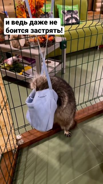 Неужели застрянет в сумке? смотреть онлайн