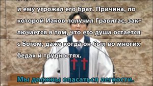 Какой вес у пшеницы?