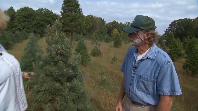 Farm Management: Best Practices | Volunteer Gardener