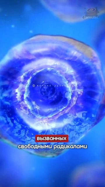 Острый перец против рака #онкология #онкологияпобедима #здоровье #здоровоетело #здоровоепитание