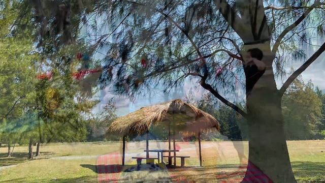 Mapanuepe Lake X Liwliwa Beach March 20-21, 2023 feat. @rubina lakwatsera @byaheros @adventuristas смотреть онлайн