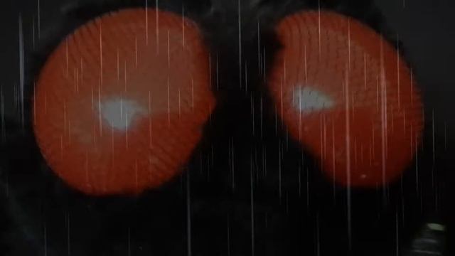 Жужа. Адская муха Вельзевул. Good Omens. смотреть онлайн