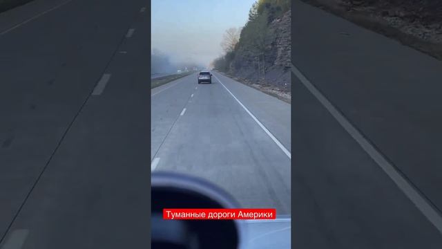 Дальнобой по США #нашивсша #shorts #truck #femaletruckdriver #сша #femaletrucker #freightliner смотреть онлайн