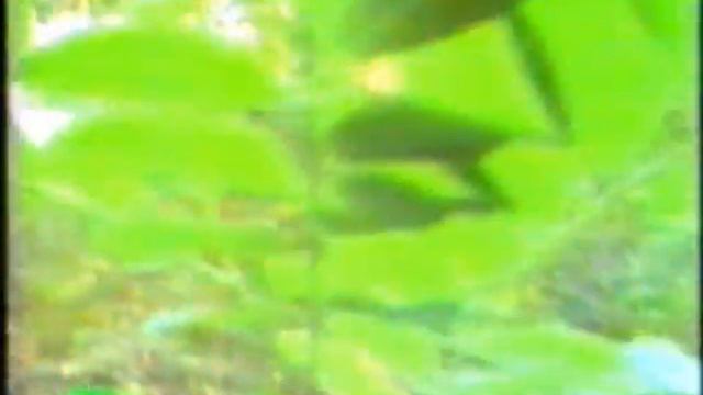 Salah  Raouf   Kerim Kaban  Nameyek bo Xatuzin