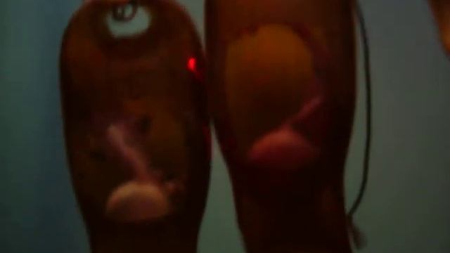 Sharkie смотреть онлайн