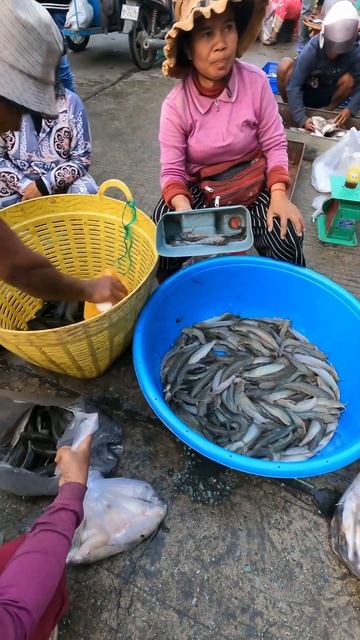 Fish Sellers @Wholesale Fish Market#fishmarket #foodmarket #fish #fishsellers #fishvideo #shorts
