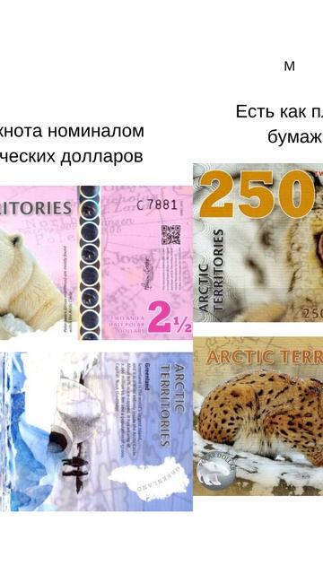 Арктический доллар смотреть онлайн