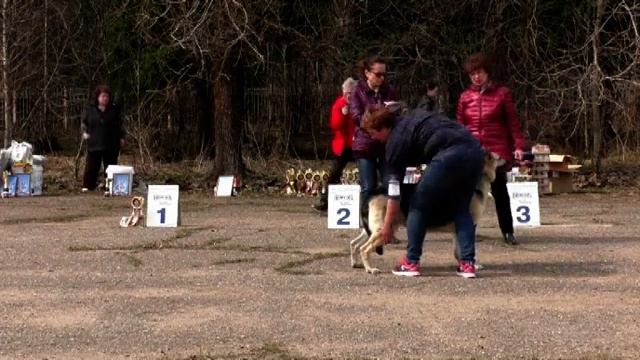 Сольда смотреть онлайн