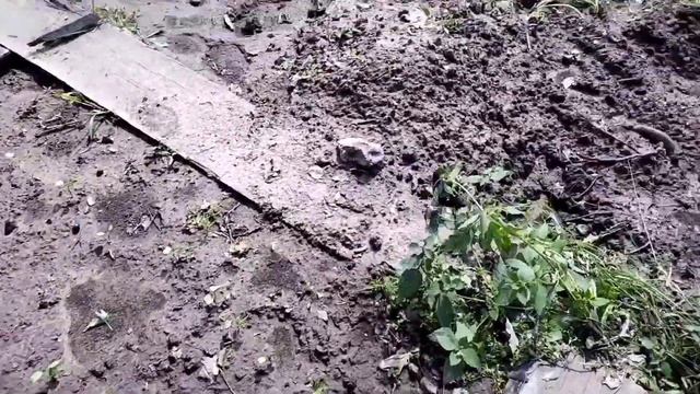 Молодые уехали,скучаю смотреть онлайн