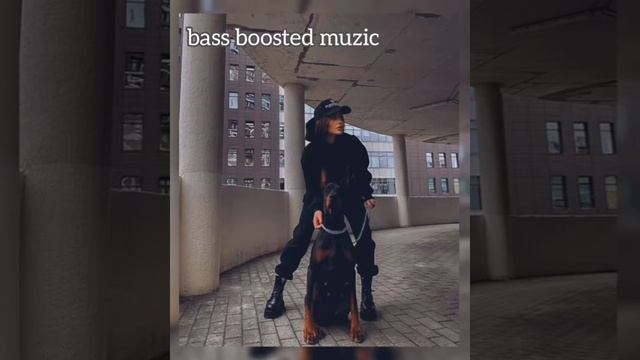 ЧЕ ЗА ЛЕВ ЭТОТ ТИГР_bass boosted смотреть онлайн