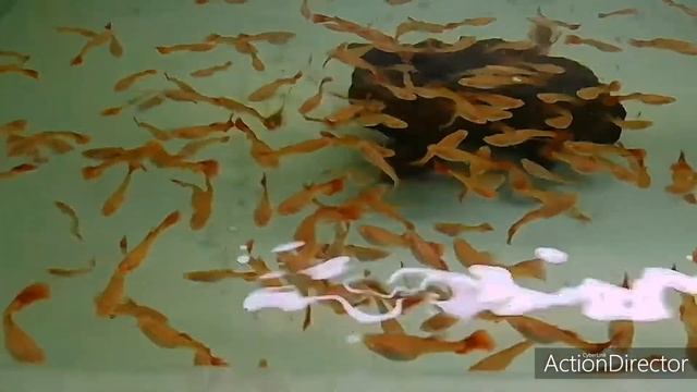 Для настроения моим друзьям и подписчикам смотреть онлайн