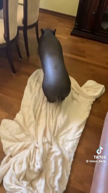 97e9884f-39c3-43a0-9f18-2f13633b225a