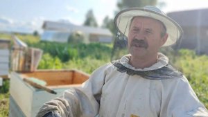 #Апидомик на пасеке!! пчелы лечат.#северныймед.