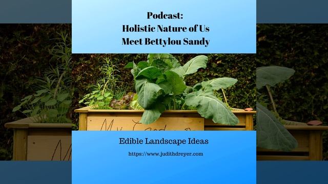 Podcast: Holistic Nature of Us: Meet Bettylou Sandy смотреть онлайн