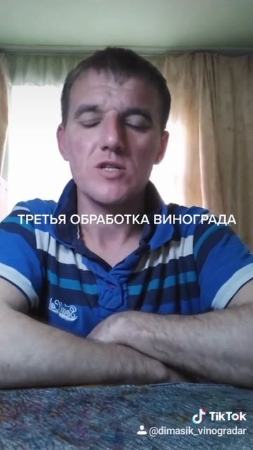 ТРЕТЬЯ ОБРАБОТКА ВИНОГРАДА смотреть онлайн