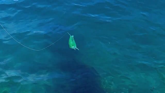 La Vanessa Beach Resort with YIU ANGLERS смотреть онлайн