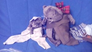 Свадьба басиков