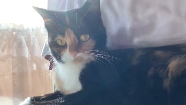 Under sun ☀️! Над солнцем☀️! #33 смотреть онлайн